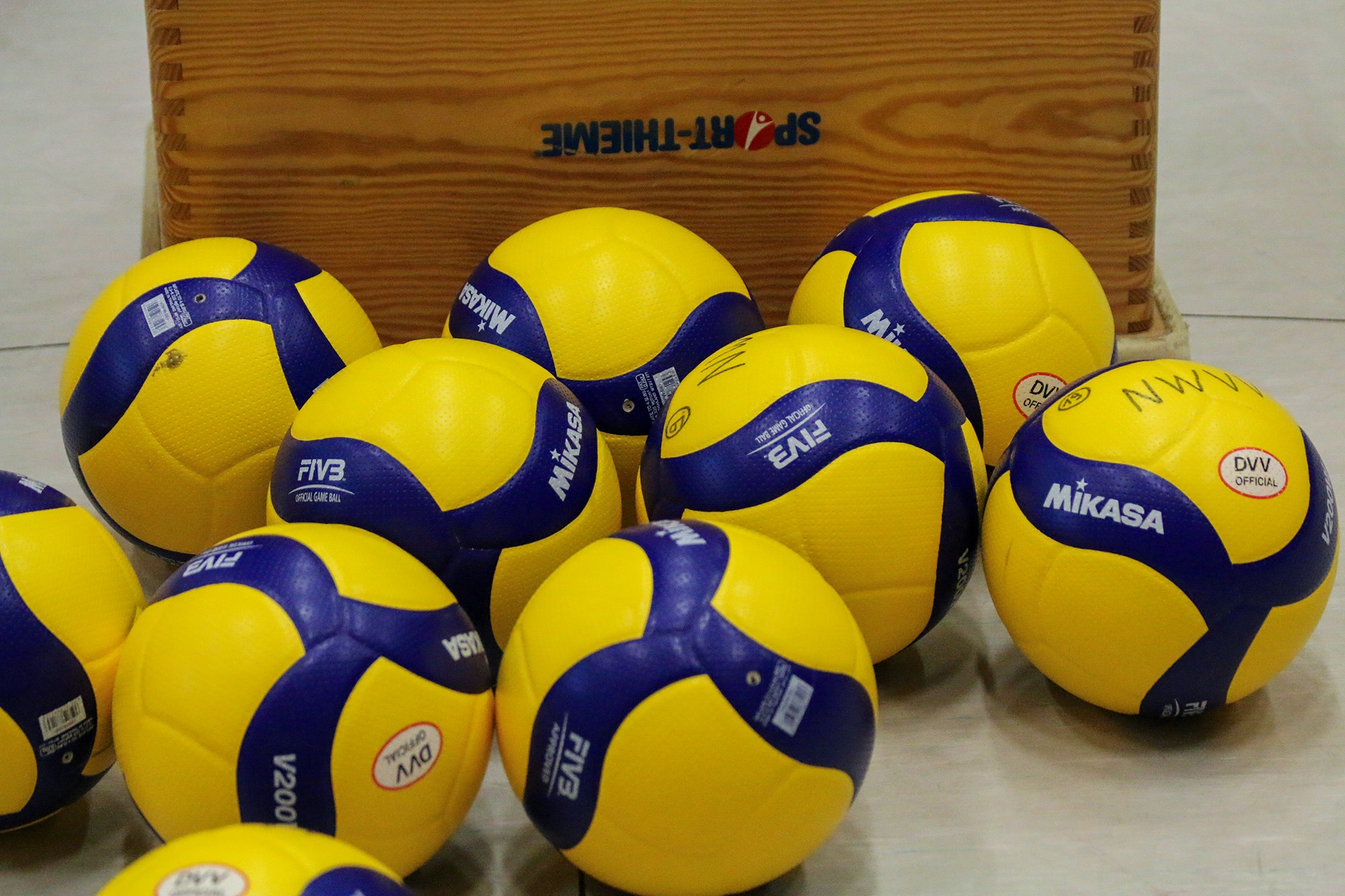 Senioren DM 2026, 16 NWVV-Teams in Dresden dabei