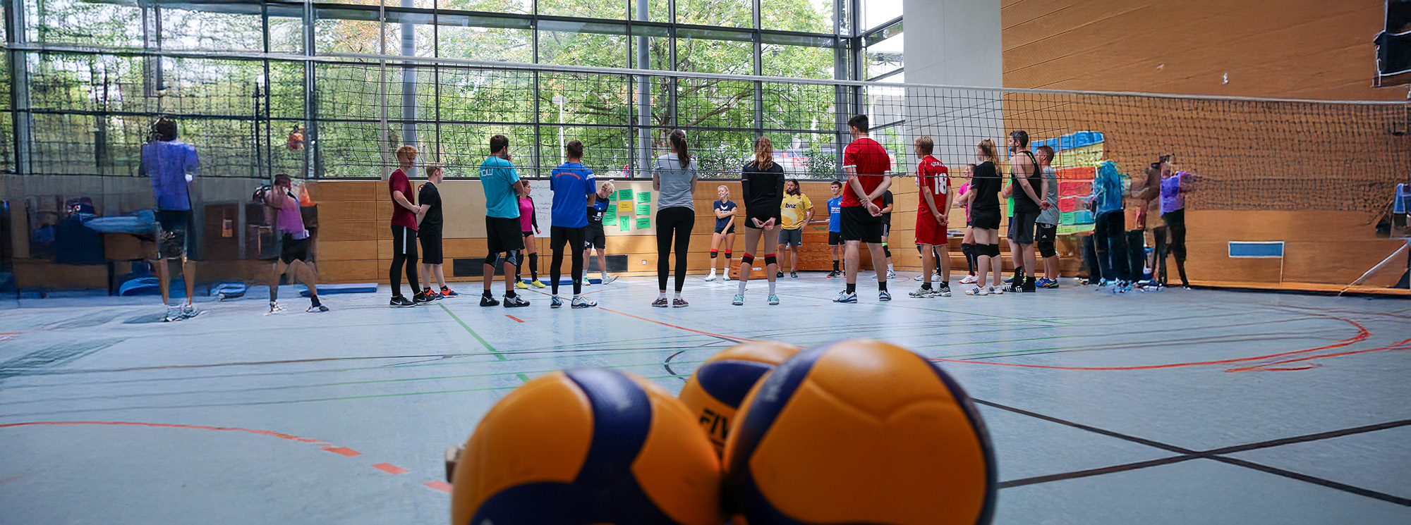 Strukturänderungen in der Trainerausbildung